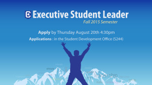 Executive Leadership Opportunities