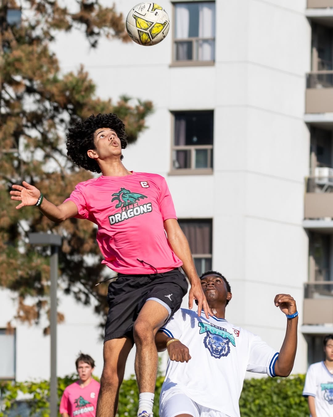 SnapInsta.to_555559530_1239511214882808_6125253835944146370_n