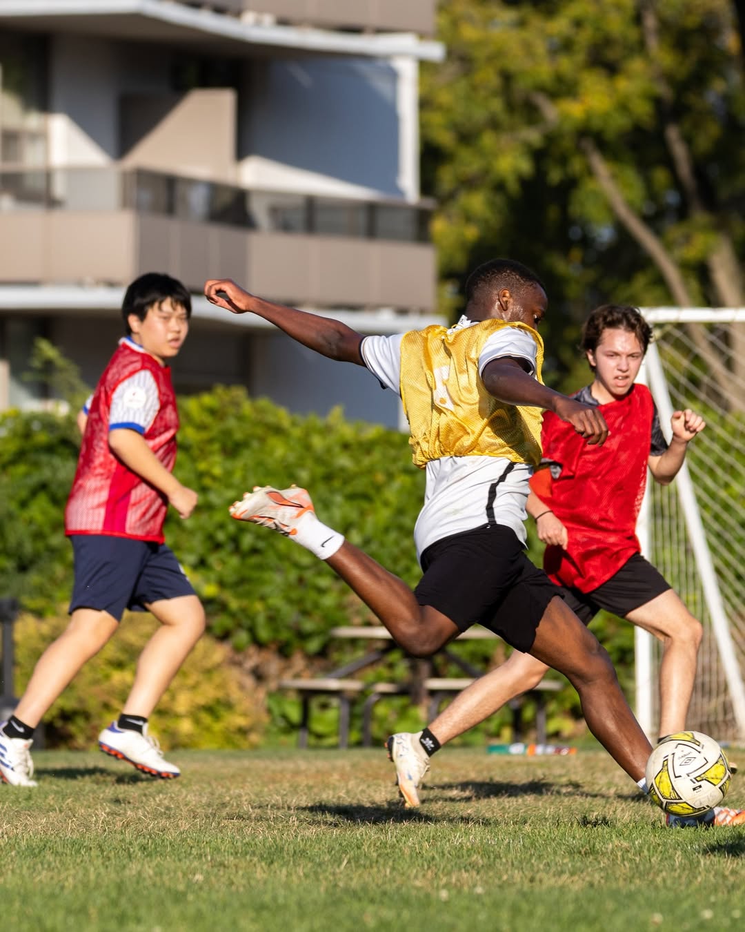 SnapInsta.to_555729709_1239511041549492_2846439407813162566_n