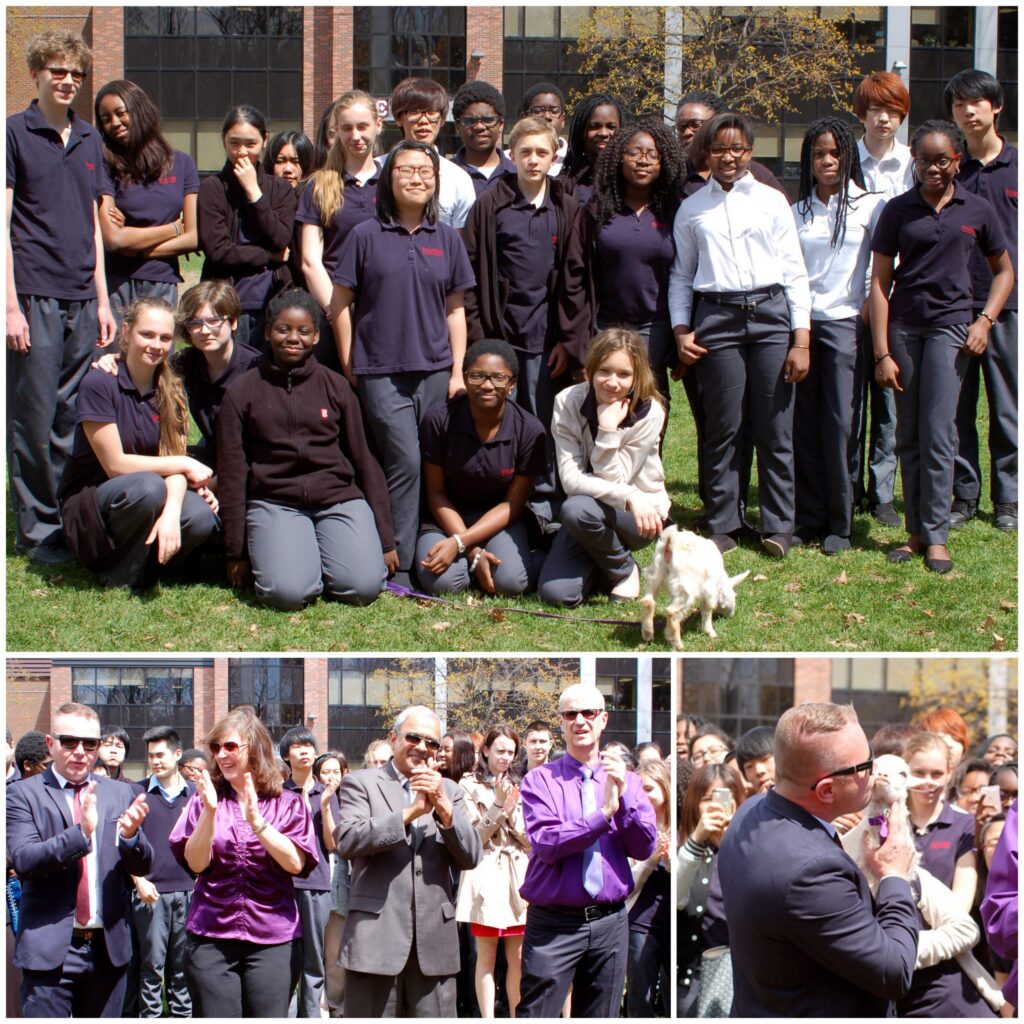 Teachers kissing a baby goat